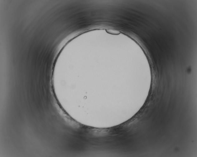 X0000115800861200912241851