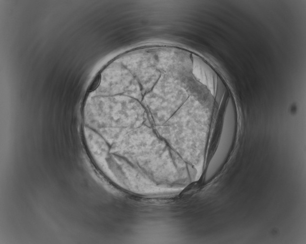 X0000115800862200912241851