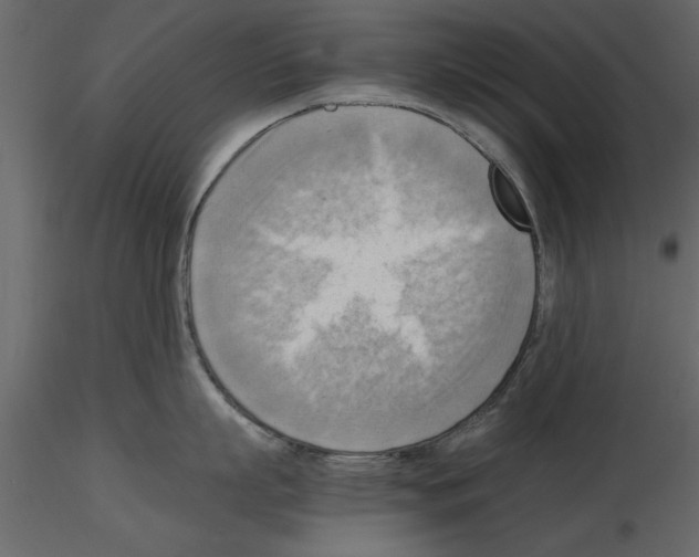 X0000115800863200912241851