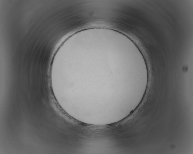 X0000115800864200912241851