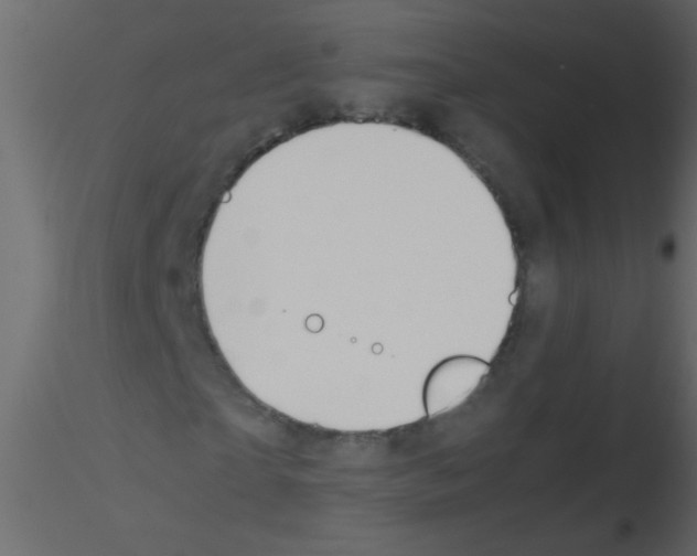 X0000115800865200912241851