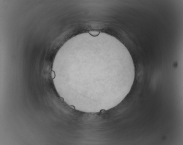 X0000115800866200912241851