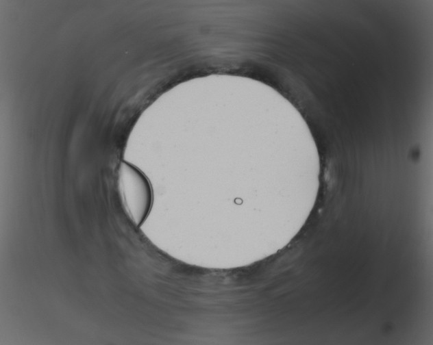 X0000115800867200912241851