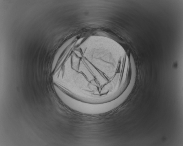 X0000115800868200912241851