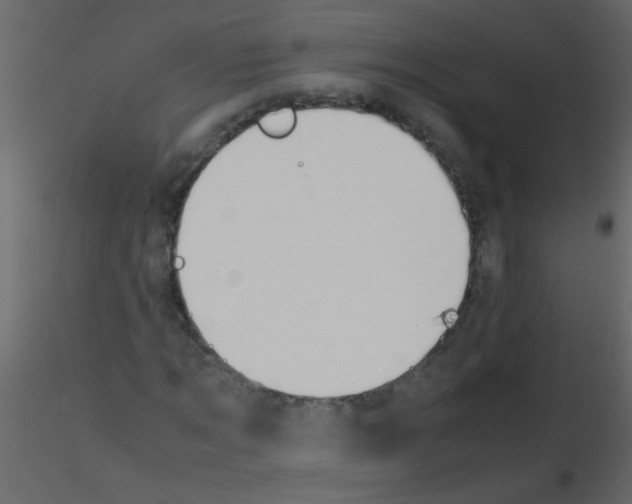 X0000115800869200912241851