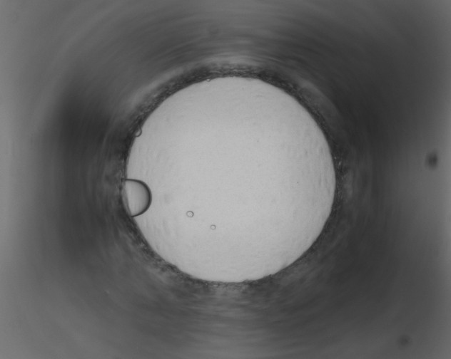 X0000115800870200912241851