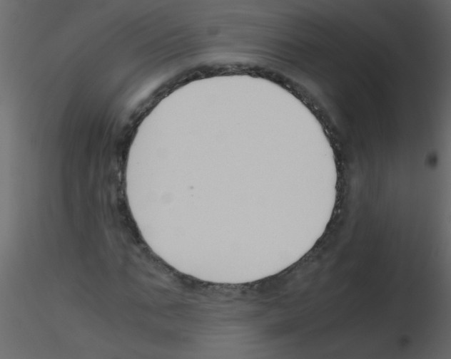 X0000115800871200912241851