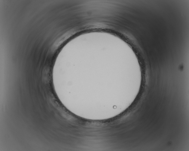 X0000115800873200912241851