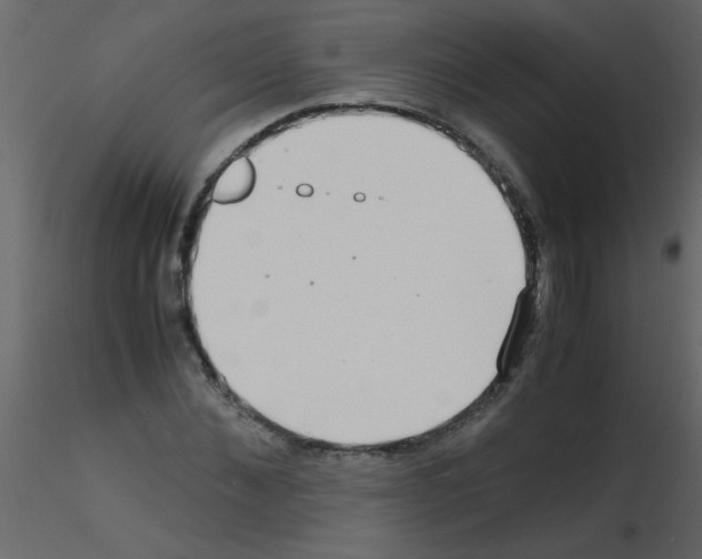 X0000115800876200912241851