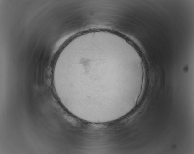 X0000115800878200912241851