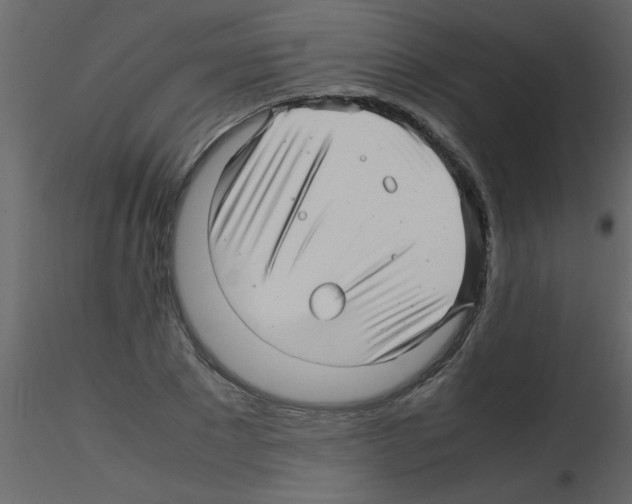 X0000115800881200912241851