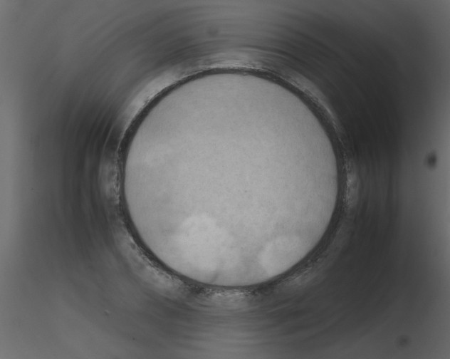 X0000115800882200912241851