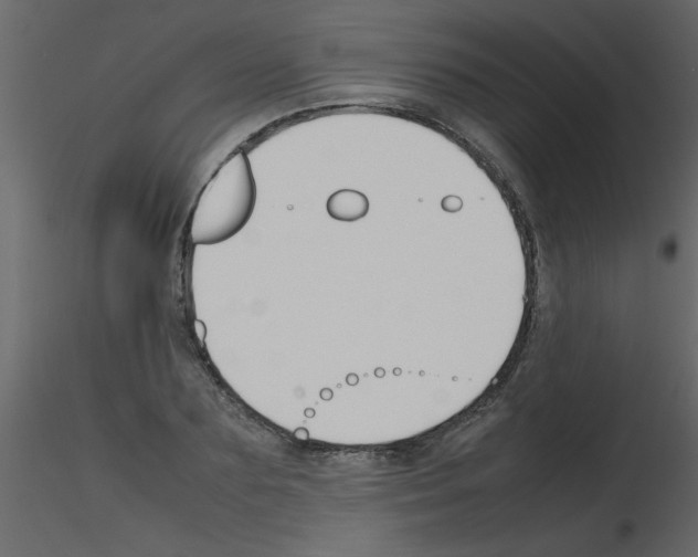 X0000115800883200912241851