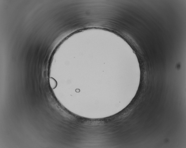 X0000115800884200912241851