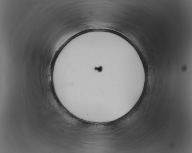 X0000115800885200912241851