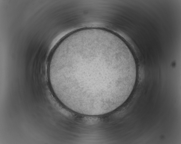 X0000115800886200912241851