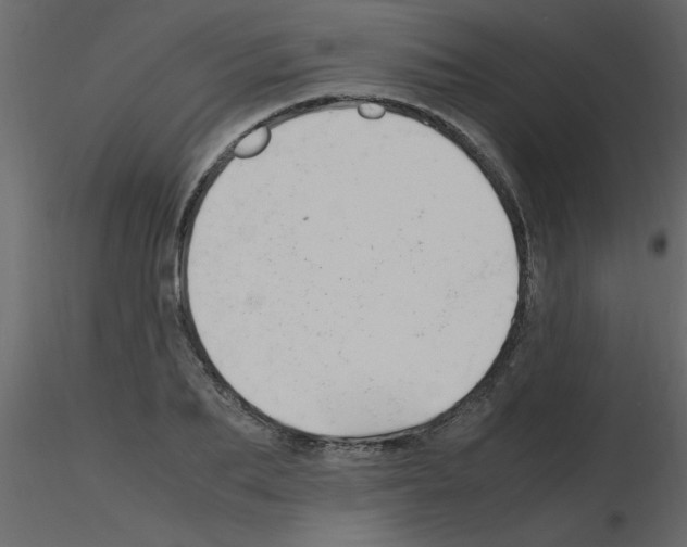 X0000115800887200912241851