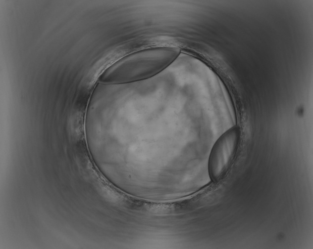 X0000115800889200912241850