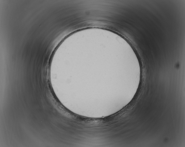 X0000115800891200912241850