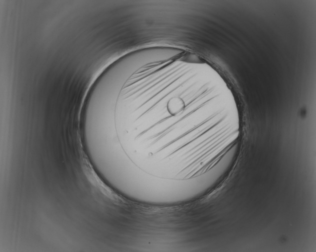 X0000115800892200912241850