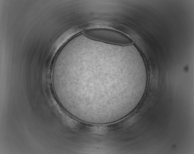 X0000115800893200912241850