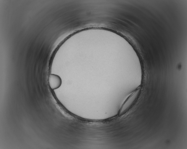 X0000115800894200912241850