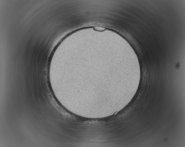 X0000115800896200912241850