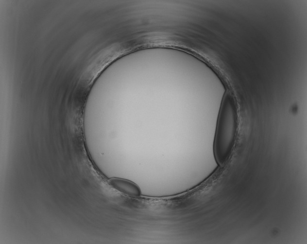 X0000115800897200912241850