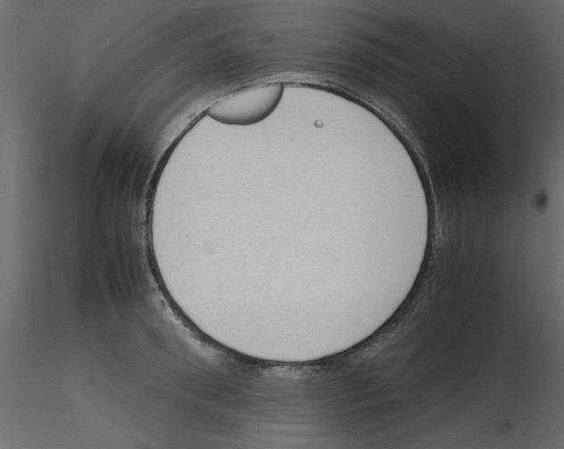 X0000115800898200912241850