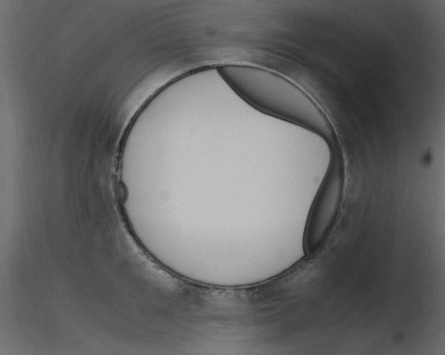 X0000115800901200912241850