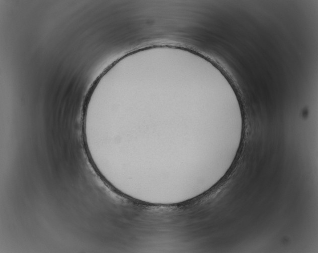 X0000115800902200912241850