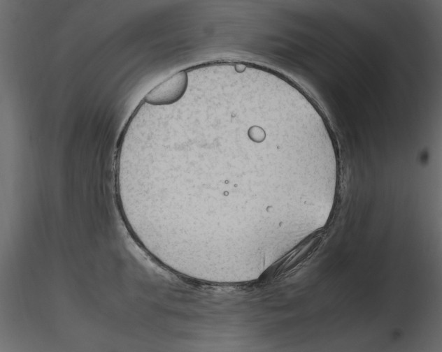 X0000115800903200912241850