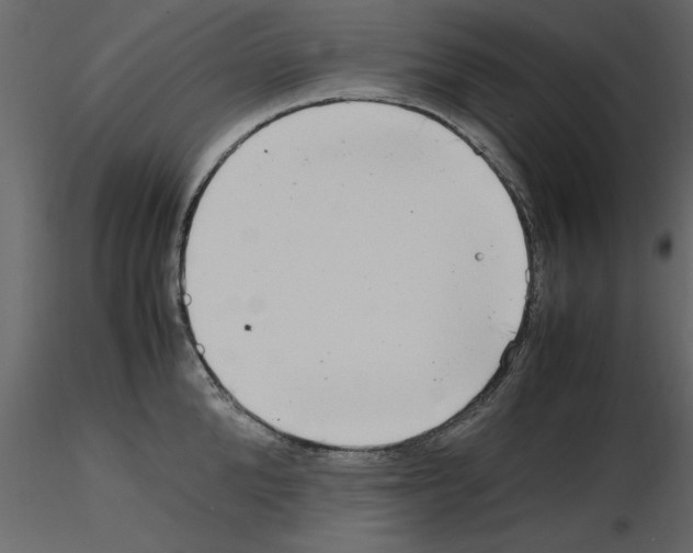 X0000115800904200912241850