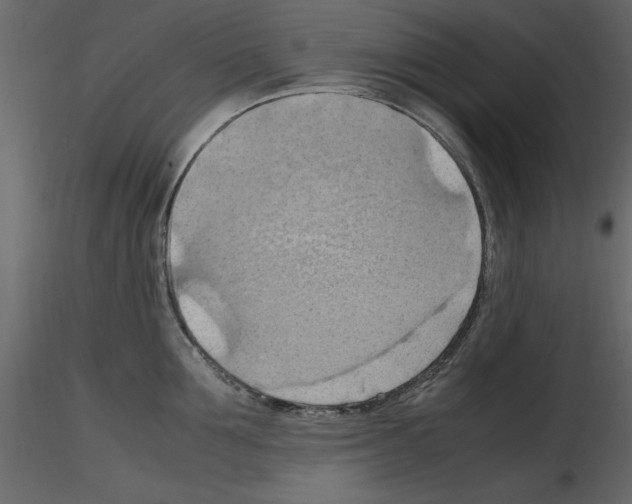 X0000115800907200912241850