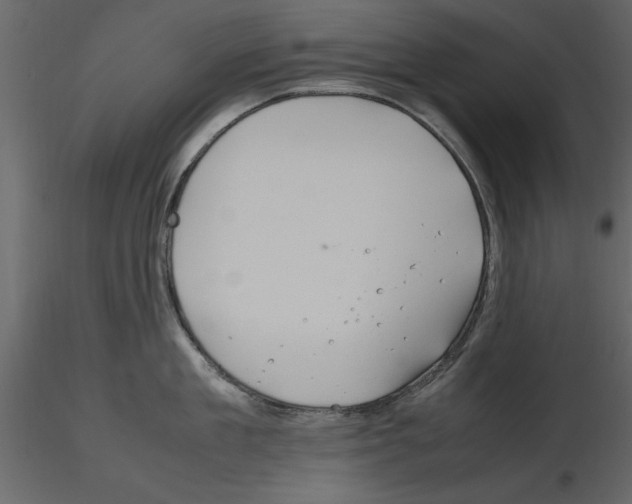 X0000115800909200912241850