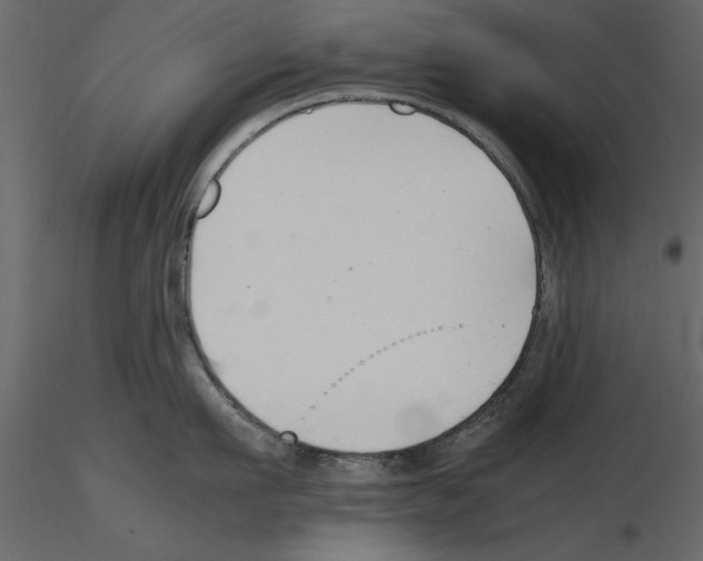 X0000115800911200912241850