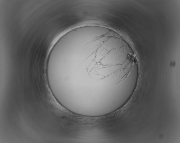 X0000115800912200912241850