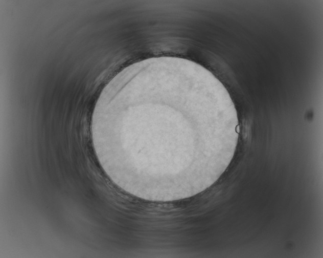 X0000115800915200912241850