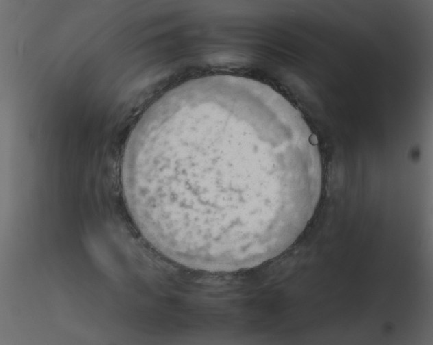 X0000115800917200912241850