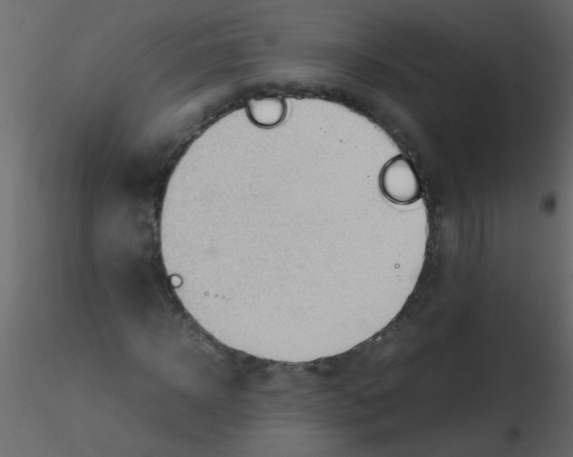 X0000115800918200912241850