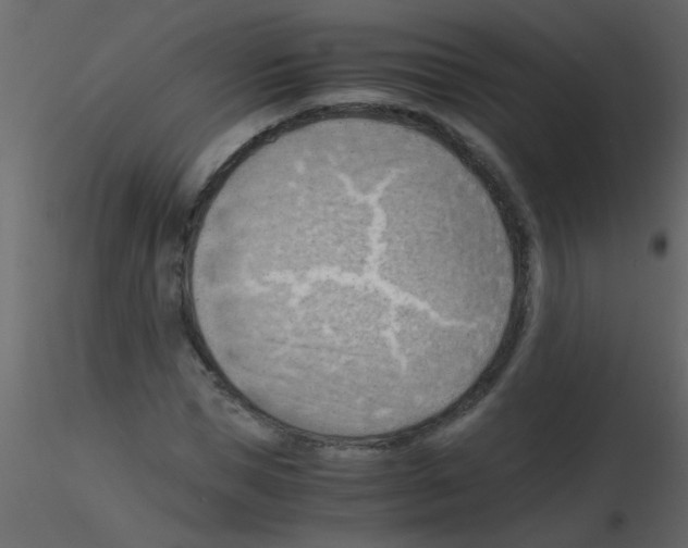 X0000115800921200912241850