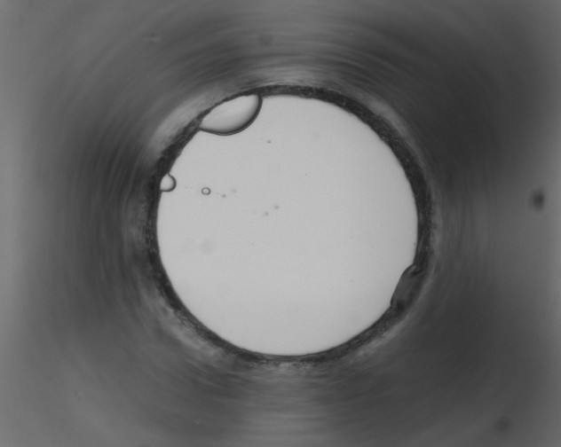 X0000115800922200912241850