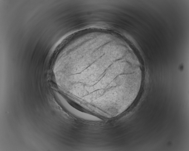 X0000115800923200912241850