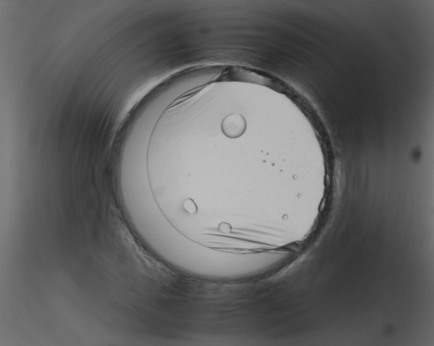 X0000115800925200912241850