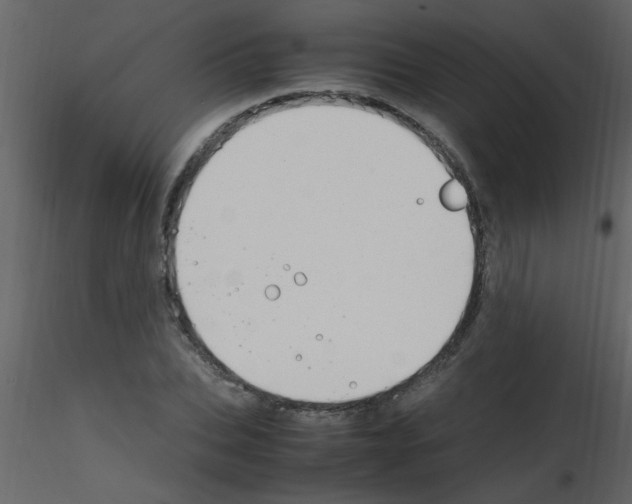 X0000115800927200912241850