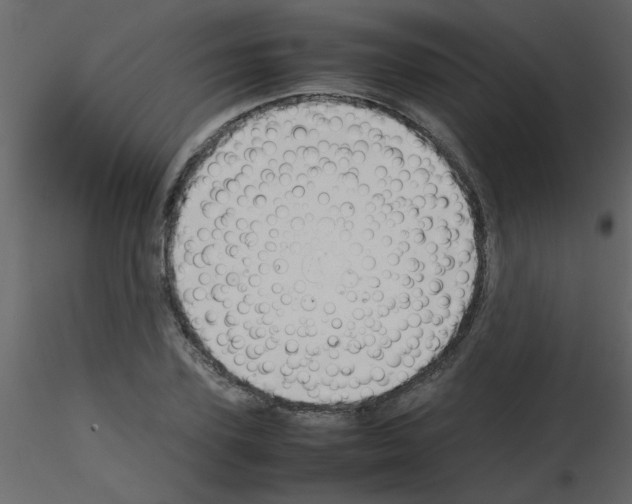 X0000115800931200912241850