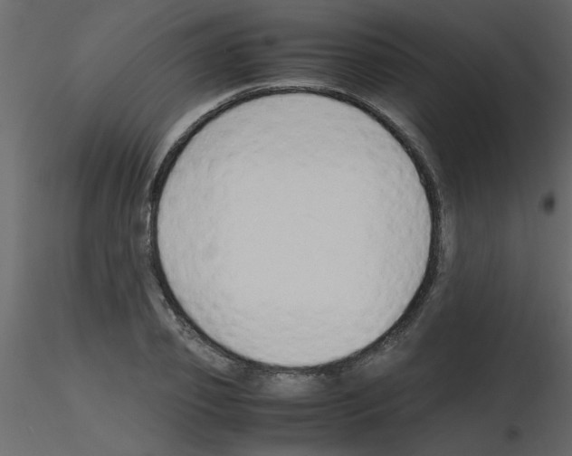 X0000115800933200912241850