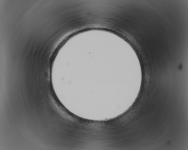 X0000115800934200912241850