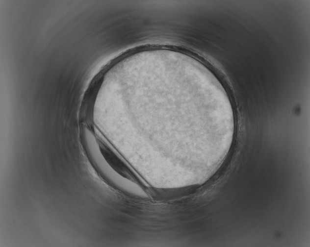 X0000115800935200912241850