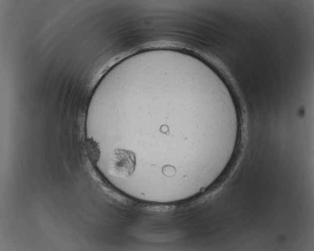 X0000115800937200912241850